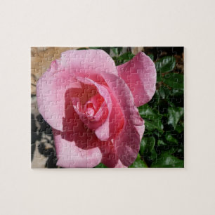 Pink Rose Sunny Garden Floral Jigsaw Puzzle