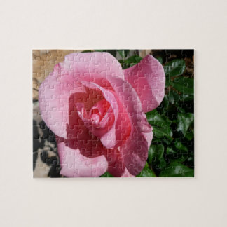 Pink Rose Sunny Garden Floral Jigsaw Puzzle