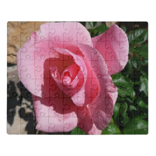 Pink Rose Sunny Garden Floral Jigsaw Puzzle