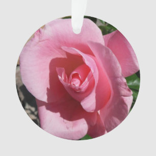 Pink Rose Sunny Garden Floral Ornament