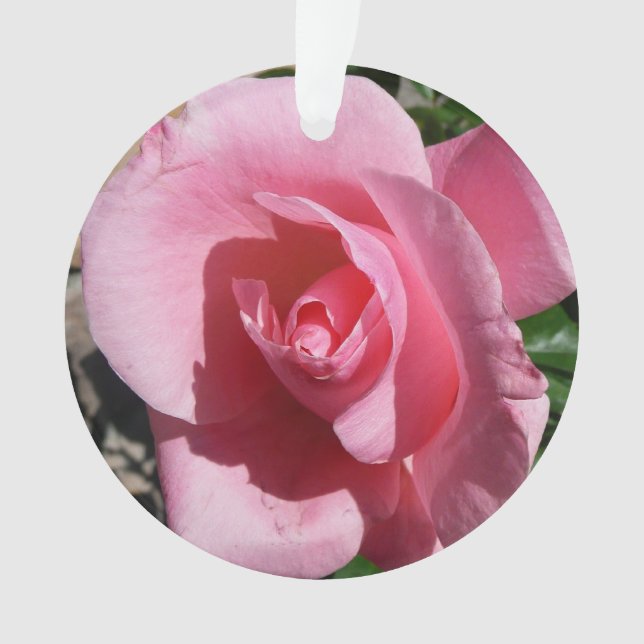 Pink Rose Sunny Garden Floral Ornament (Front)