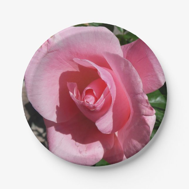 Pink Rose Sunny Garden Floral Paper Plates (Front)