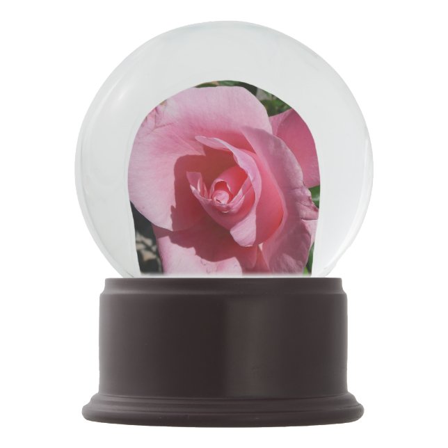 Pink Rose Sunny Garden Floral Snow Globe (Front)