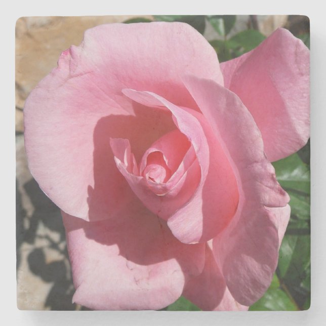 Pink Rose Sunny Garden Floral Stone Coaster (Front)