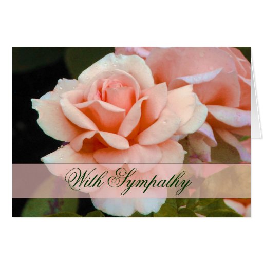 Pink Rose Sympathy Card | Zazzle