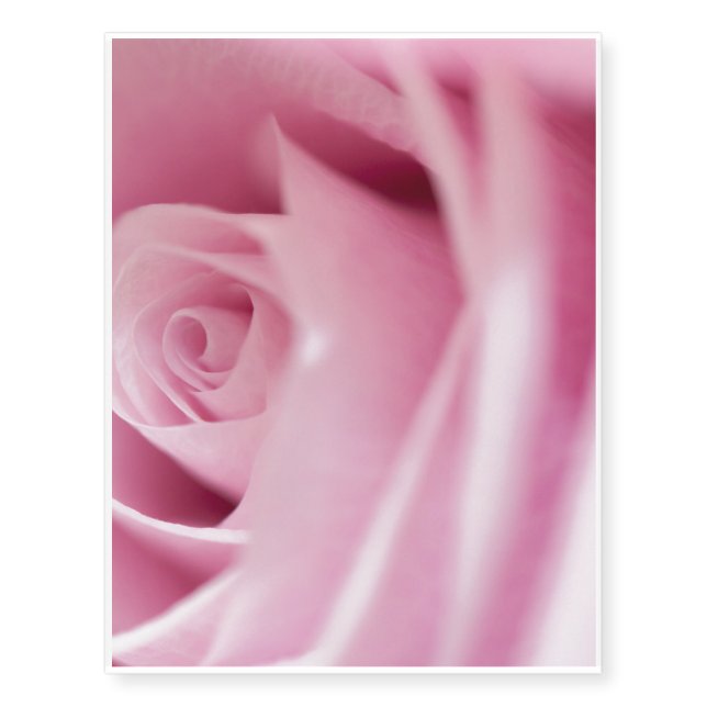 Pink Rose Temporary Tattoos (Front)