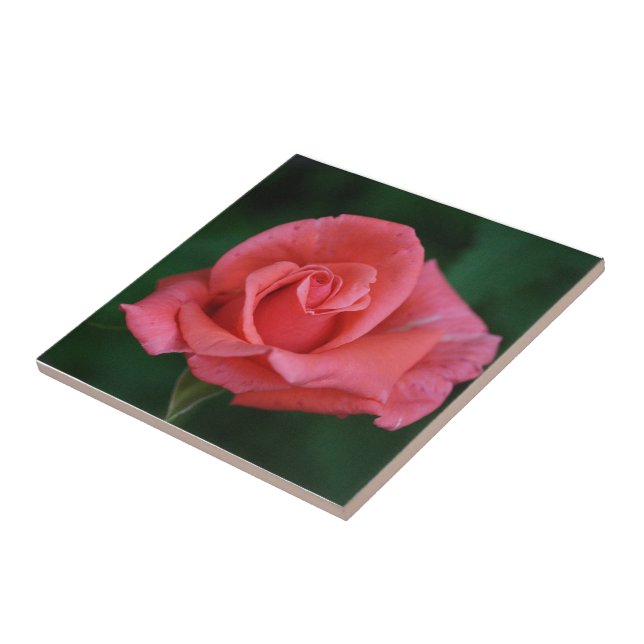 Pink Rose Tile (Side)