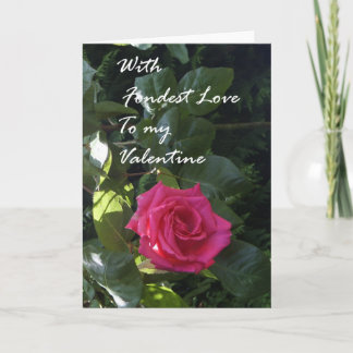 Pink Rose Valentine Card