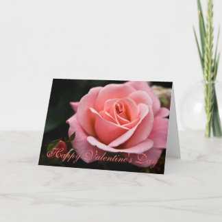 Pink Rose ・ Valentine's Day Greeting Card
