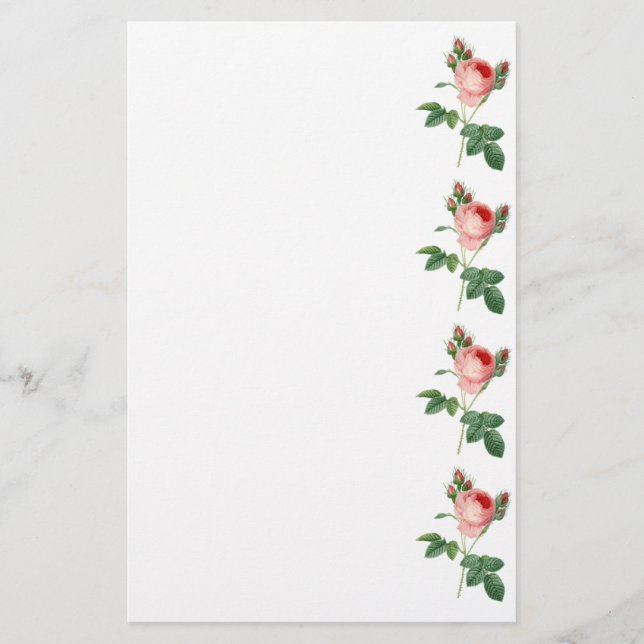Pink rose vintage botanical illustration border stationery (Front)