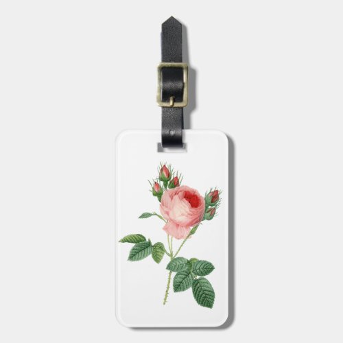 Pink rose vintage botanical illustration luggage tag