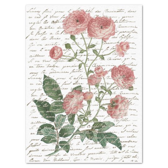 Pink Rose Vintage French Script Gold Lg Decoupage Tissue Paper | Zazzle.com
