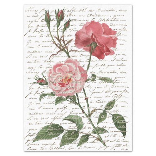 Pink Rose Vintage French Script Gold Lg Decoupage  Tissue Paper