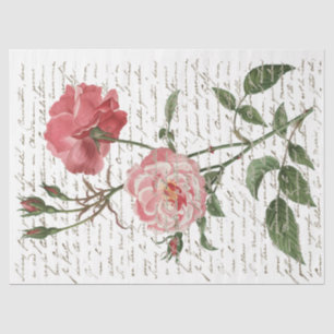 Pink Rose Vintage French Script Gold Lg Decoupage Tissue Paper