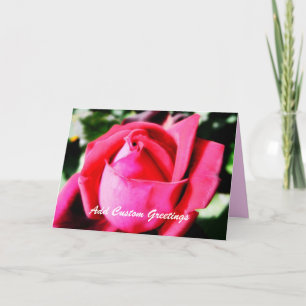 Pink Rose w/ Custom Text Greeting Card