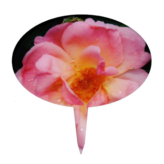 Pink Rose w/ Dew Drops Black Background Cake Topper (Front)
