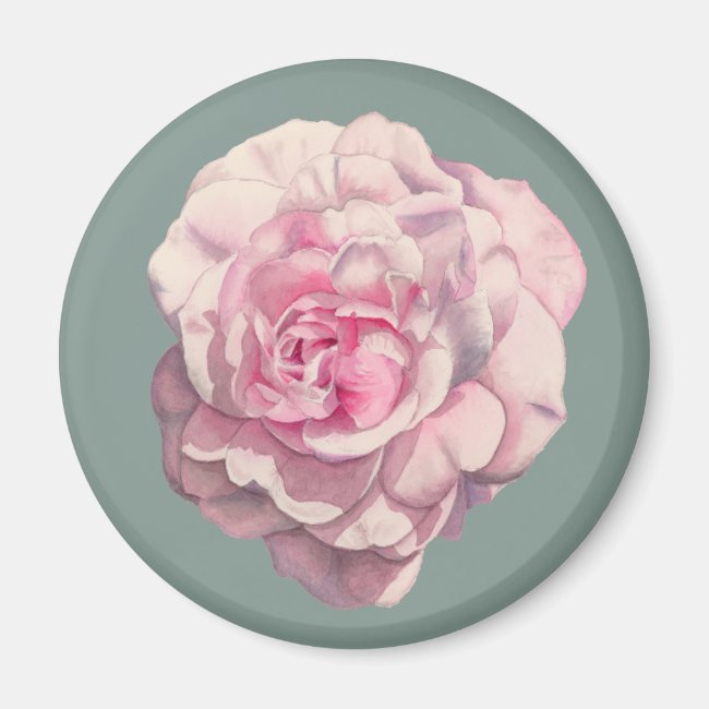 Pink Rose Watercolor Illustration
