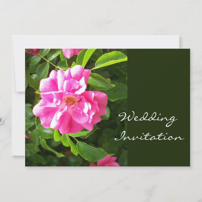 Pink Rose Wedding Invitation (Front)