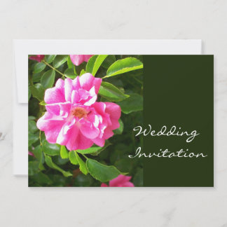 Pink Rose Wedding Invitation