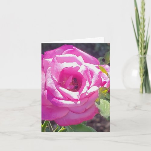 Pink Rose with a Bee Personalized Greeting Card