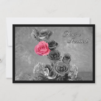Pink Rose with Black and White Background