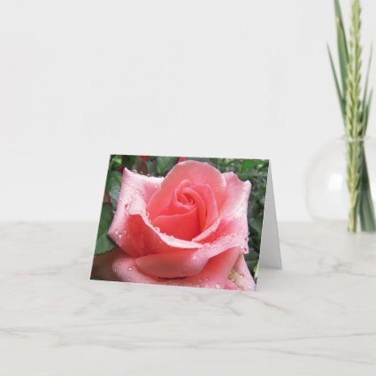 Pink Rose with Dew Note Card