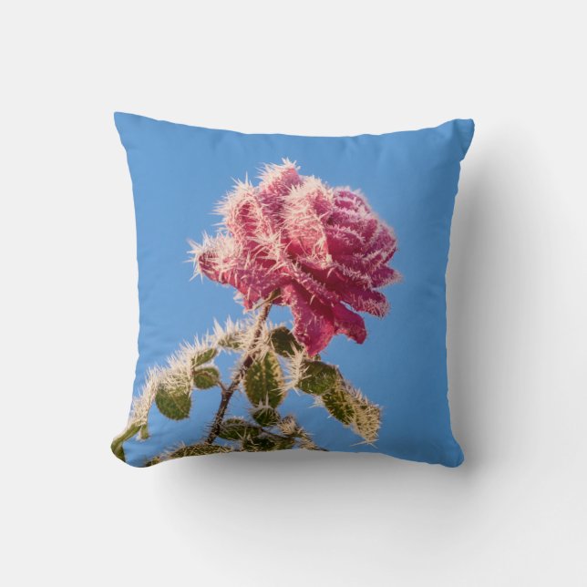 Pink Rose with Icy Frost in a Cold Winter Nature - Throw Pillow (Front)