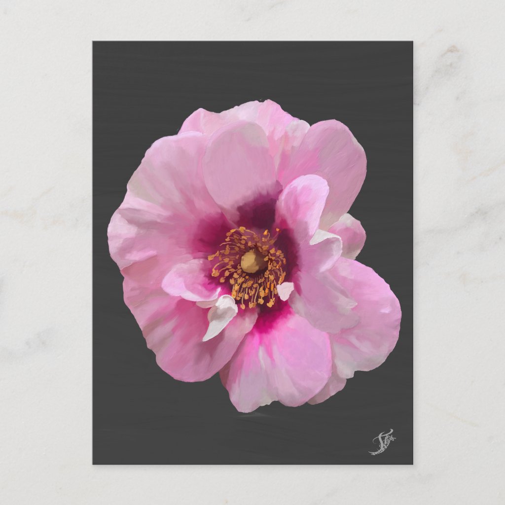 Pink rose with Purple Heart - oil painting