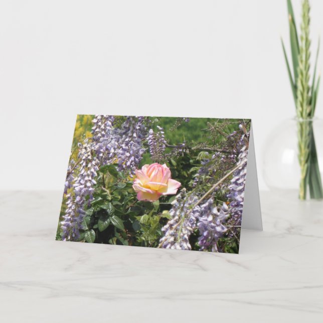 Pink Rose with Purple Wisteria Blank Art Card (Front)