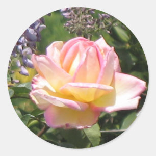 Pink Rose with Purple Wisteria Sticker