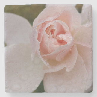 Pink Rose with Raindrops Stone Coaster