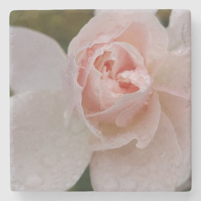 Pink Rose with Raindrops Stone Coaster (Front)