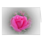 Pink Rose with White (Front Horizontal)