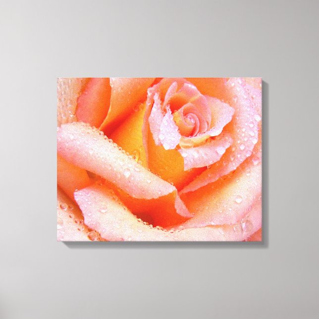 Pink Rose Wrapped Canvas Print (Front)