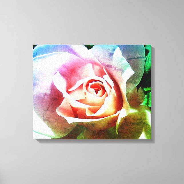 Pink Rose Wrapped Canvas Print (Front)