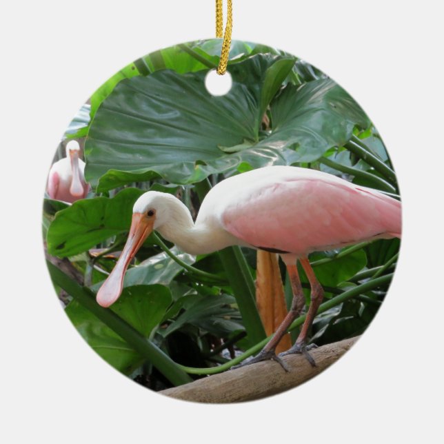 Pink Roseate Spoonbill Bird Ceramic Ornament (Front)