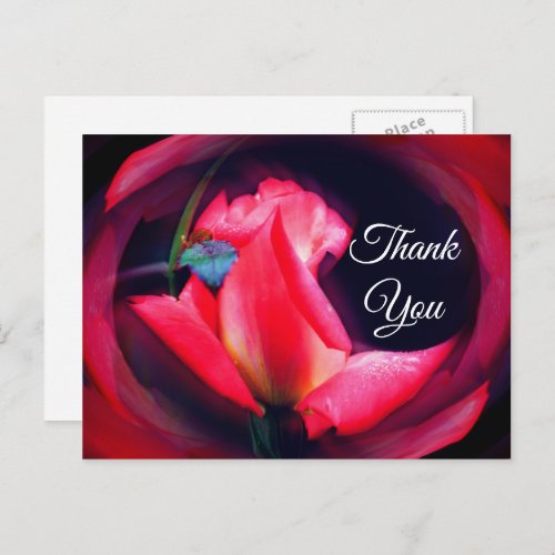 Pink Rosebud Abstract Floral Thank You Postcard