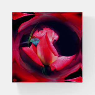 Pink Rosebud Floral Abstract Art Paperweight