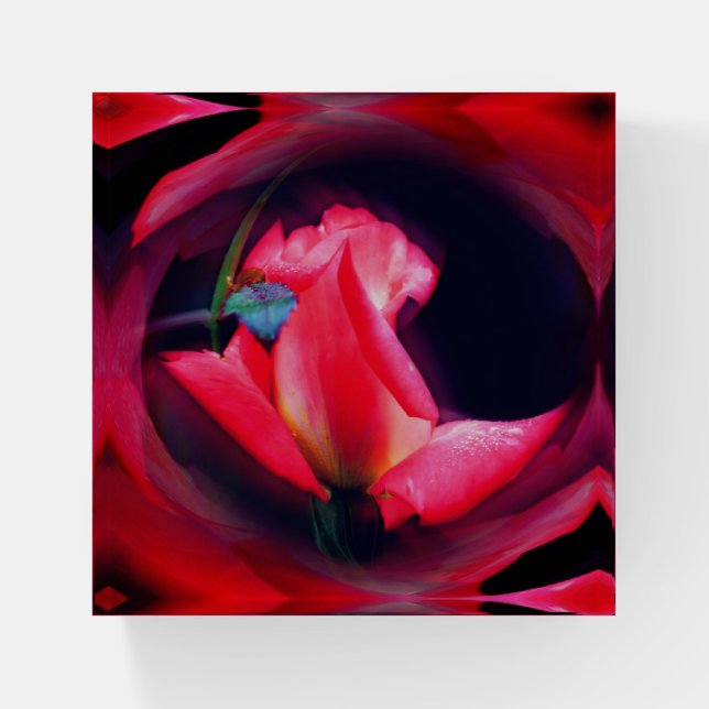 Pink Rosebud Floral Abstract Art  Paperweight (Front)
