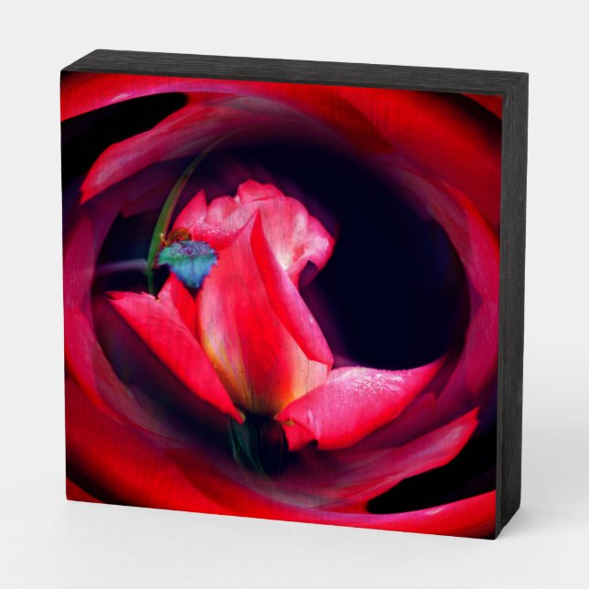 Pink Rosebud Floral Abstract Art  Wooden Box Sign (Angled Horizontal)