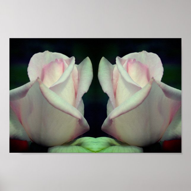 Pink Rosebud Flower Mirror Abstract  Poster (Front)