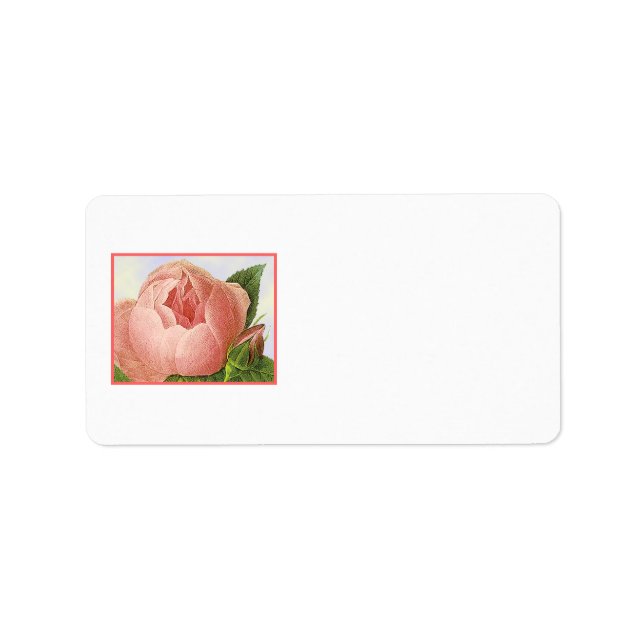 Pink Rosebud Vintage Address Labels (Front)