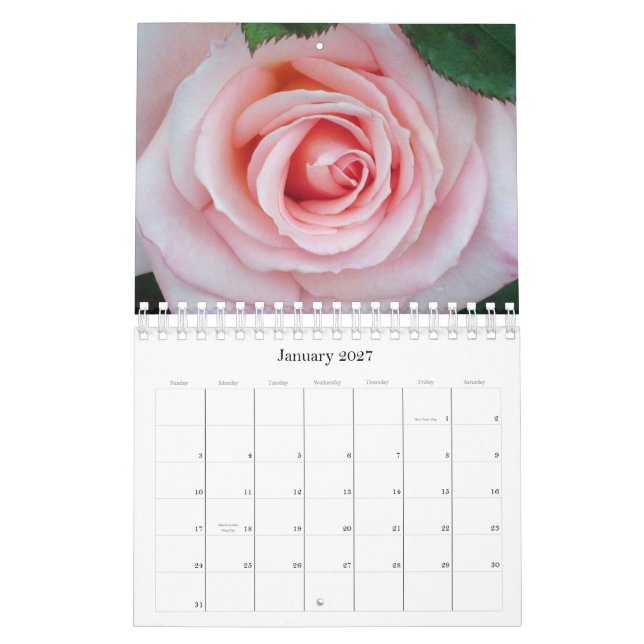 Pink Roses 2011 Floral Calendar (Jan 2027)