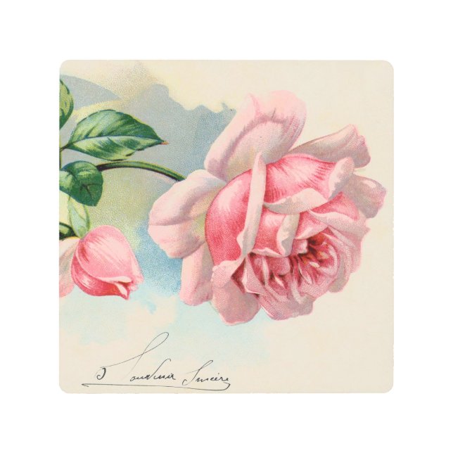 Pink Roses and Calligraphy Vintage Metal Print (Front)