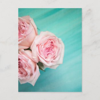 Pink Roses And Teal Background Postcard by Ilze_Lucero_Photo at Zazzle