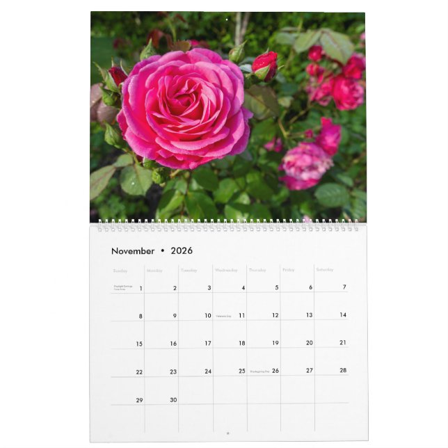 Pink roses calendar (Nov 2026)