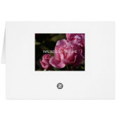 pink roses cards (Back Horizontal)