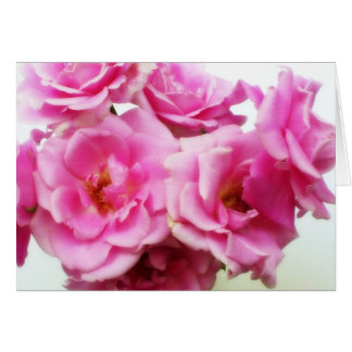 PInk Roses Cards