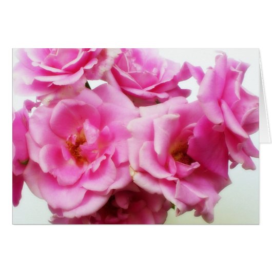 PInk Roses Cards (Front Horizontal)