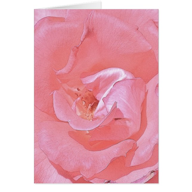 Pink Roses Cards (Front)